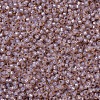 MIYUKI Round Rocailles Beads SEED-G007-RR0579-3