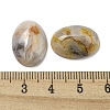 Natural Crazy Agate Cabochons G-C115-01A-33-3