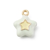 Alloy Enamel Charms ENAM-E362-08E-1