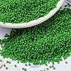 MIYUKI Round Rocailles Beads X-SEED-G009-RR0411-1