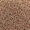 MIYUKI Round Rocailles Beads X-SEED-G007-RR4204-2
