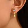 Elegant Crystal Earrings Set for Women LI0110-1