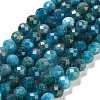 Natural Apatite Beads Strands G-C127-A01-03-2