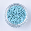 Baking Paint Cylinder Seed Beads SEED-Q036-02A-D06-2