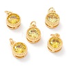 Real 18K Gold Plated Brass Inlaid Cubic Zirconia Charms ZIRC-L100-081G-02-1