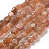 Natural Peach Moonstone Beads Strands X-G-P497-01E-69B-2