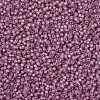 MIYUKI Round Rocailles Beads SEED-X0055-RR0645-3
