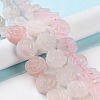 Natural Rose Quartz Beads Strands G-B065-B16-2