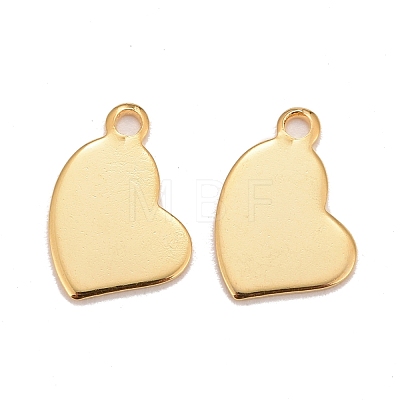 201 Stainless Steel Charms STAS-K217-77G-1