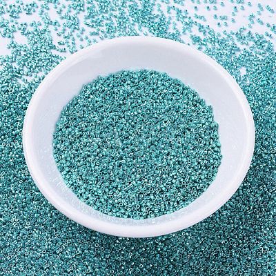 MIYUKI Delica Beads SEED-X0054-DB0427-1