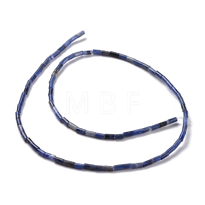 Natural Sodalite Beads Strands G-M389-11-1