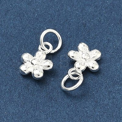 925 Sterling Silver Charms STER-A050-03A-S-1