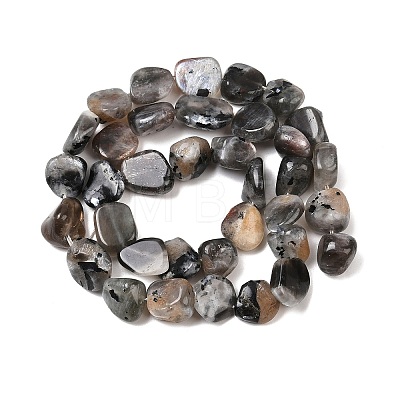 Natural Moonstone Beads Strands G-A284-A01-02-1