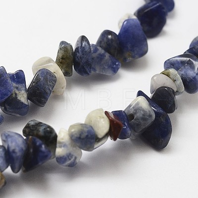 Natural Sodalite Beads Strands G-F328-25-1