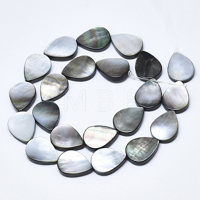 Natural Black Lip Shell Beads SSHEL-N036-036-1