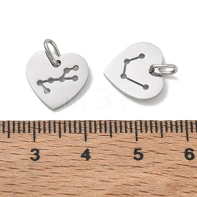 304 Stainless Steel Charms SA-CBAE491-01P-1