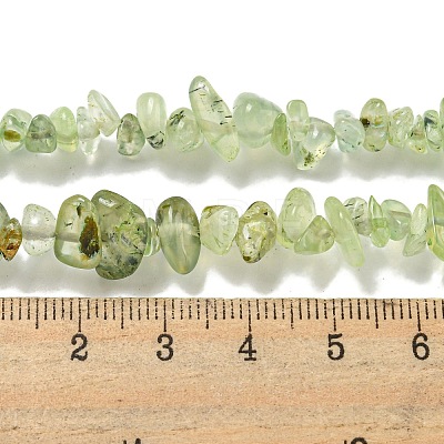Natural Prehnite Beads Strands X-G-P332-41A-1