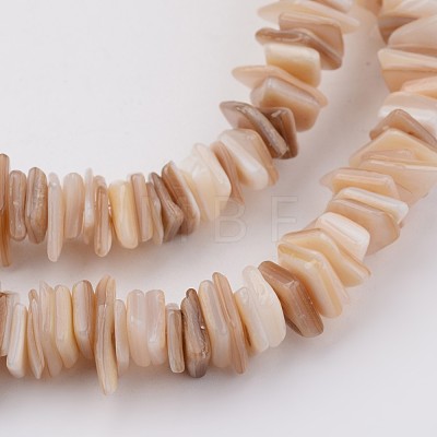 Natural Shell Bead Strands X-BSHE-P021-14-1