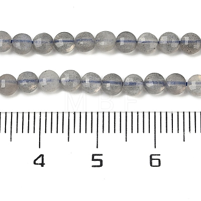 Natural Labradorite Beads Strands G-R462-008-01-1