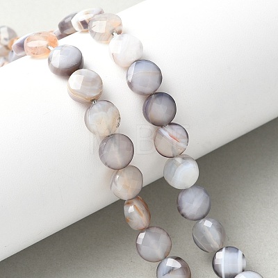 Natural Grey Botswana Agate Beads Strands G-C179-A50-03-1