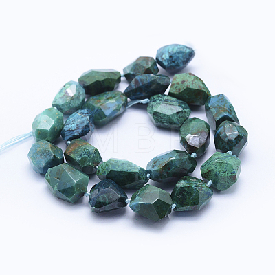 Natural Chrysocolla Beads Strands G-F531-09-D-1