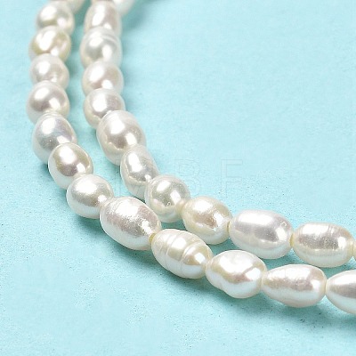 Natural Cultured Freshwater Pearl Beads Strands PEAR-E016-124-1