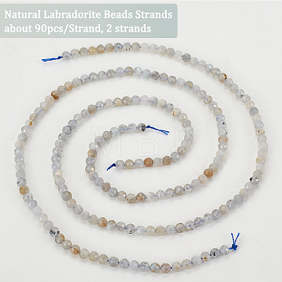 Olycraft 2 Strands Natural Labradorite Beads Strands G-OC0004-46-1