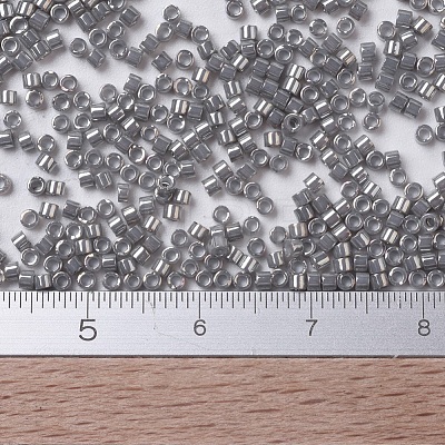MIYUKI Delica Beads Small X-SEED-J020-DBS0251-1