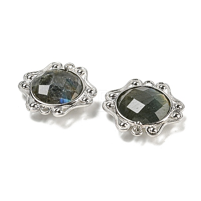 Natural Labradorite Faceted Connector Charms G-M431-09P-02-1