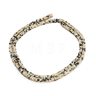 Natural Dalmatian Jasper Beads Strands GG-CBA2498-C09-01-1