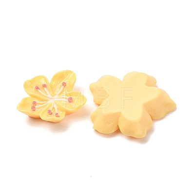Opaque Resin Cabochons CRES-A064-01C-1