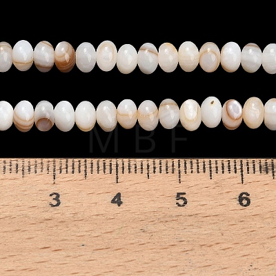 Natural Freshwater Shell Beads Strands SHEL-C010-04B-01-1