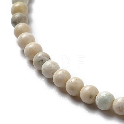 Natural Magnesite Beads Strands G-L555-02A-01-1