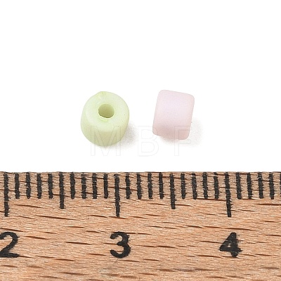 Opaque Acrylic Beads AC-CBA5019-06-1