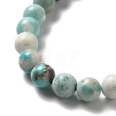 Natural Magnesite Beads Strands G-L555-02B-02-1