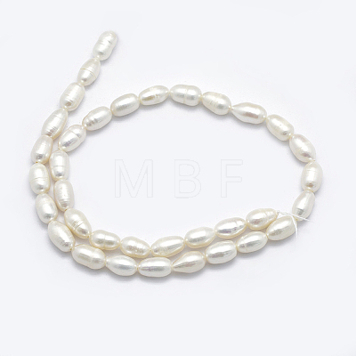 Natural Cultured Freshwater Pearl Beads Strands PEAR-F007-78-01-1