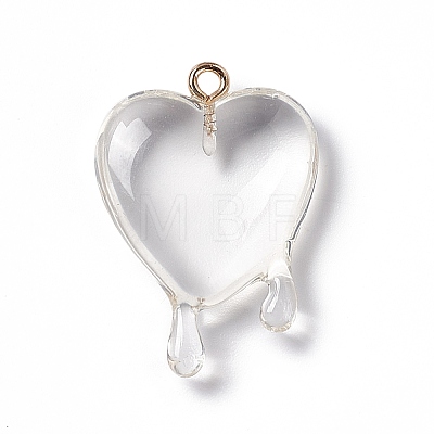 Transparent Resin Pendants RESI-F028-01E-1