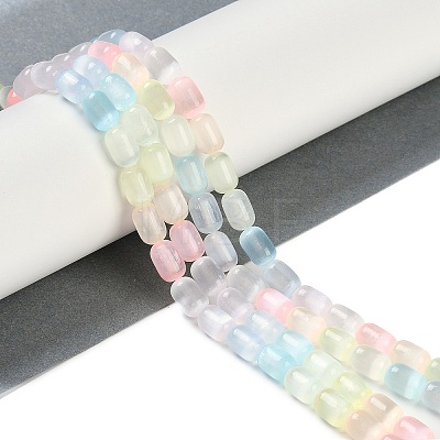 Macaron Color Natural Selenite Beads Strands G-F750-M03-02-1