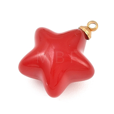304 Stainless Steel Resin Pendants STAS-K322-10D-02-1