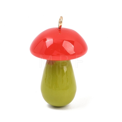 Opaque Resin Big Pendants FIND-E053-02A-G-1