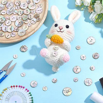 120Pcs 6 Styles 2-Hole Shell Buttons BUTT-ME0001-45-1