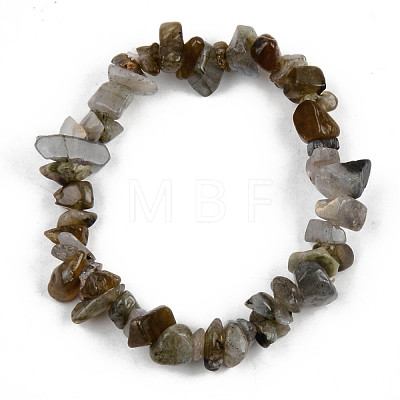 Unisex Chip Natural Labradorite Beaded Stretch Bracelets BJEW-S143-19-1