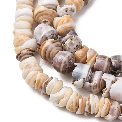 Natural Shell Beads Strands SH-CBA2978-03-1