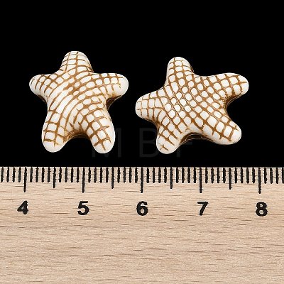Ocean Theme Spray Painted Opaque Acrylic Beads ACRP-F003-02K-1