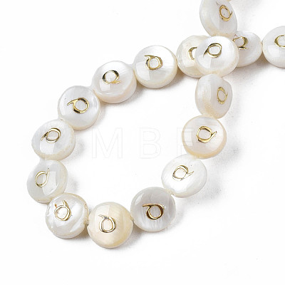 Natural Freshwater Shell Beads SHEL-S276-168Q-1