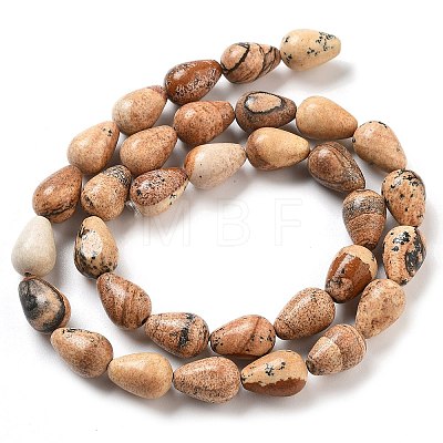 Natural Picture Jasper Beads Strands G-B106-A18-02-1