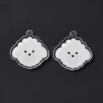 Transparent Acrylic Pendants X-TACR-G038-03B-1