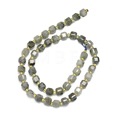 Natural Labradorite Beads Strands G-I376-D31-01-1