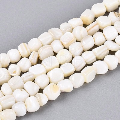 Natural Freshwater Shell Beads Strands BSHE-T014-51B-1