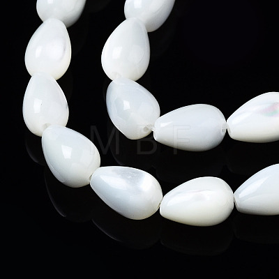 Natural Trochid Shell/Trochus Shell Beads Strands SSHEL-S266-022-1